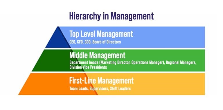 Hierarchy in Management