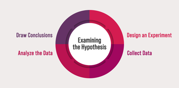 How to Examine a Hypothesis