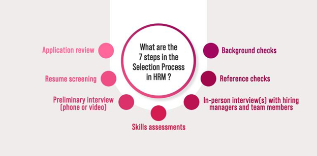 7 Steps in HRM Selection Process