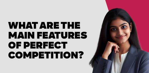 What Are the Main Features of Perfect Competition? 