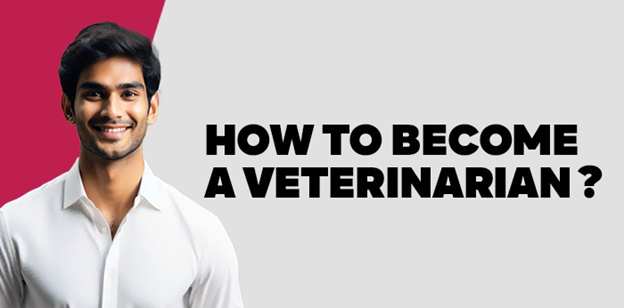 How to Become a Veterinarian? 