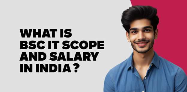What is Bsc IT Scope and Salary in India? 